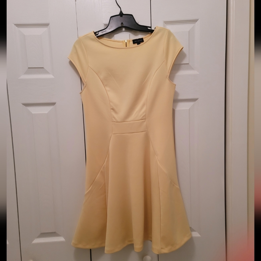 The Limited Buttery Yellow Fit and Flare Dress
